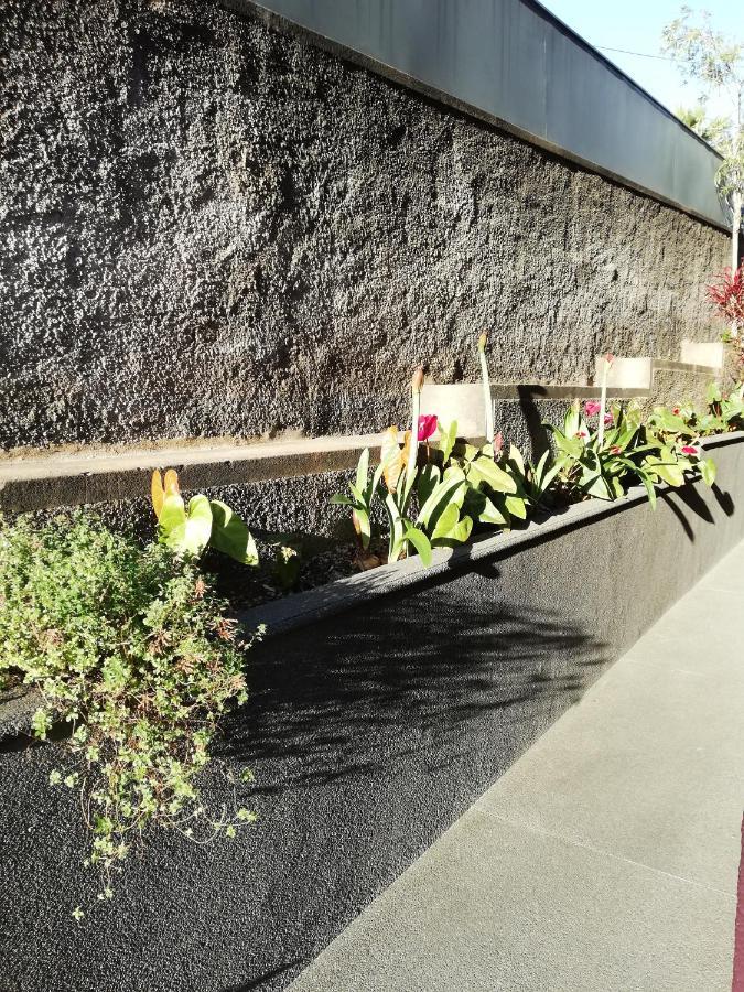 Fx Carvalhal Hotel Funchal  Buitenkant foto